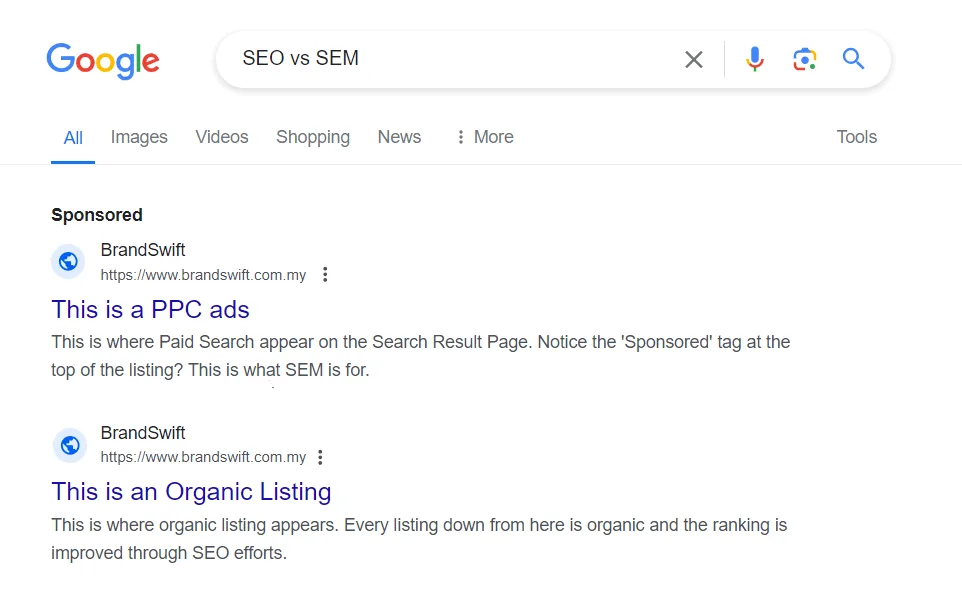 brandswift SEO vs SEM blog