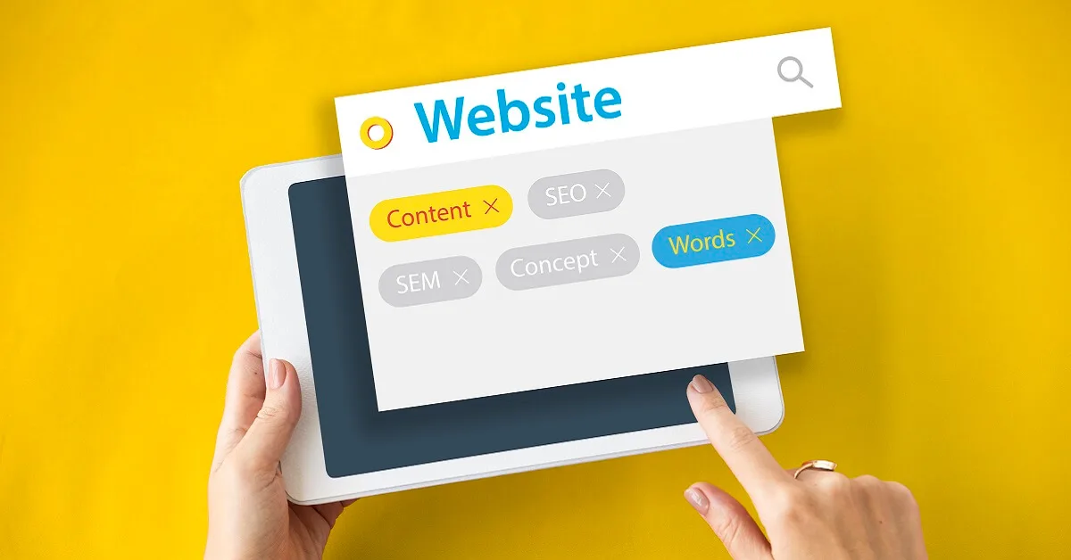 5 Types Of Seo You Need To Focus On In 2024 And Why