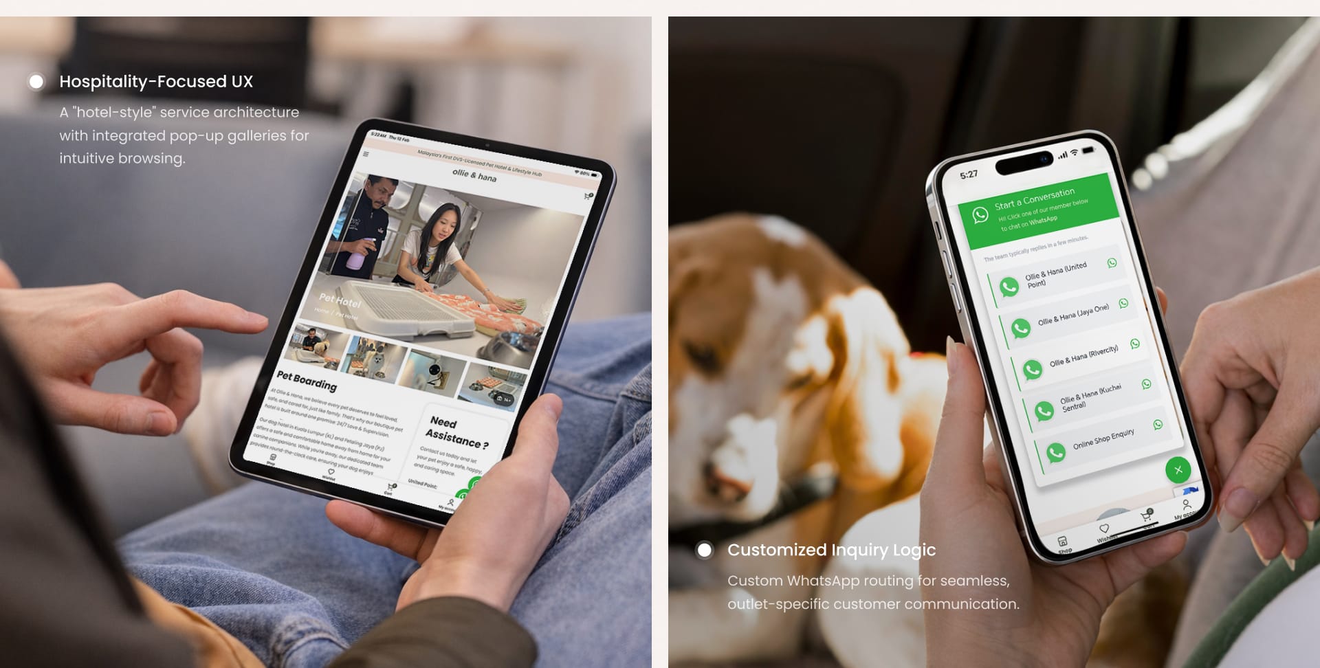 ollie hana interactive device responsive