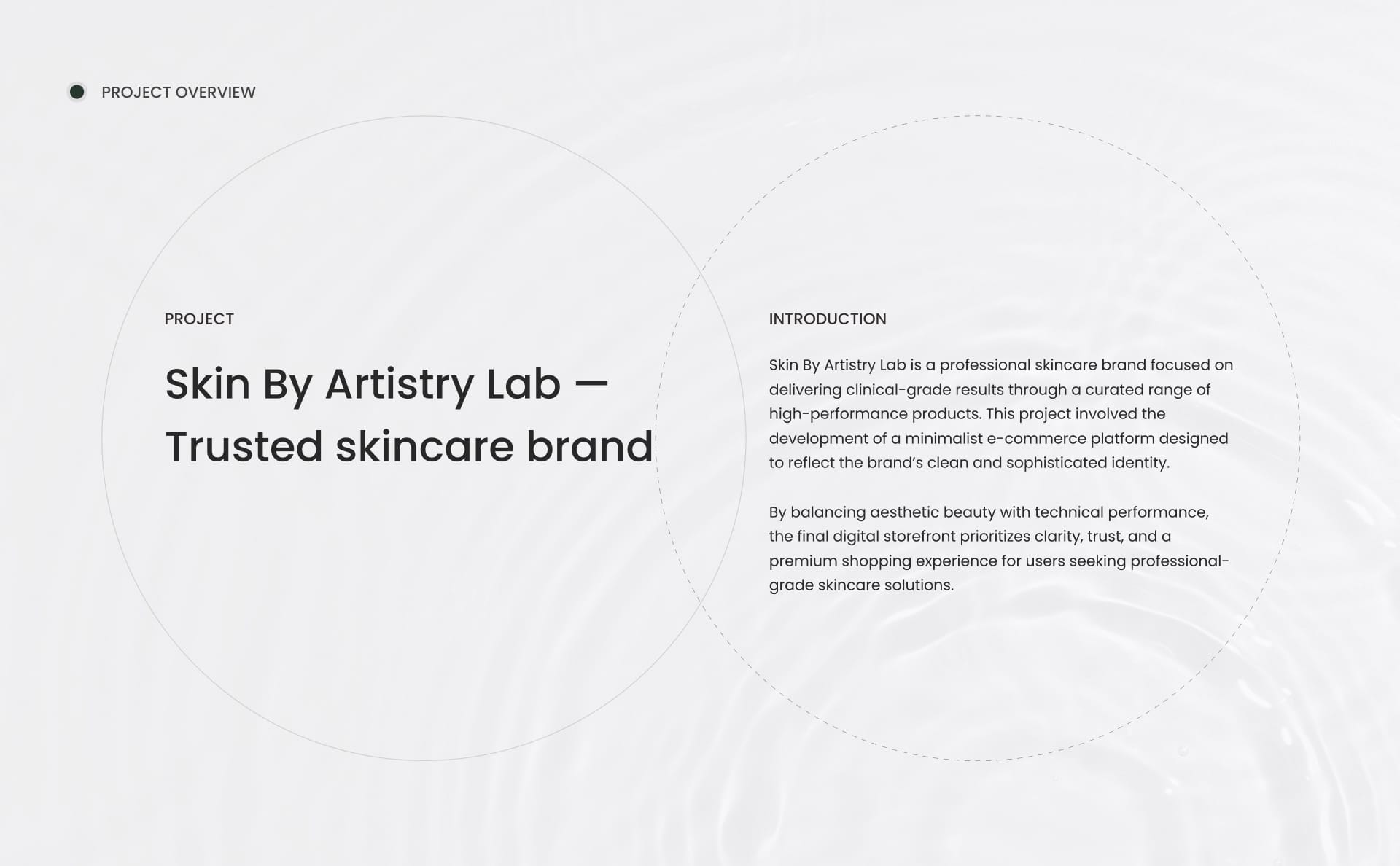 skin by artistry lab project overview
