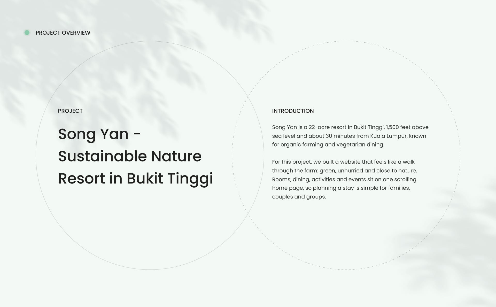 songyan project overview 1
